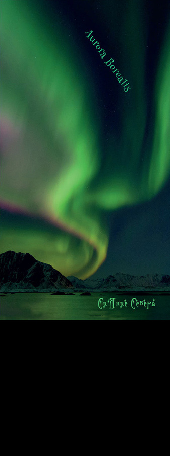  Бандана-труба с флисом Северное сияние / Aurora Borealis зелёная